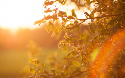 الظروف الصعبة وعلاقتها بالنقلة الإيجابية في حياتنا !