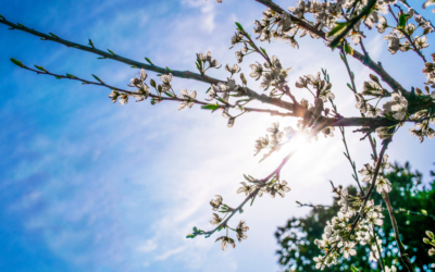 مراحل التغيير .. وثبات واثقة نحو الهدف